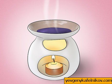 Image intitulée Get Rid of Mosquitoes Step 9