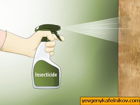 Obrázek s názvem Zbavte se tesařských včel, krok 15
