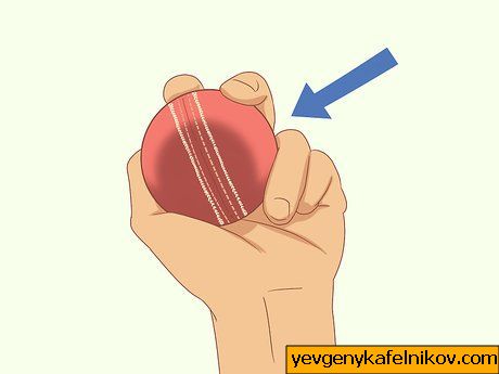 Bild mit dem Titel Reverse Swing a Cricket Ball Schritt 1