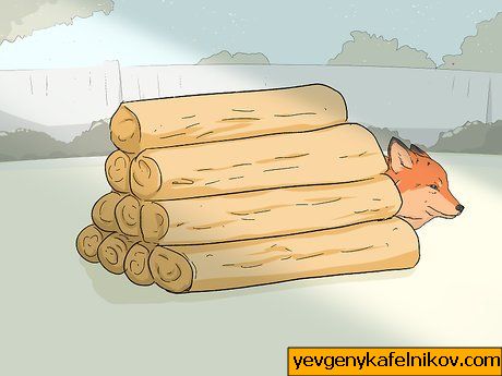 Bilde med tittelen Attract Foxes Step 11