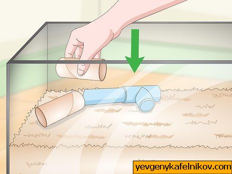 Obrázek s názvem Set up a Gerbil Cage Krok 10