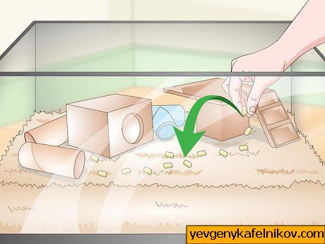 Obrázek s názvem Set up a Gerbil Cage Krok 13