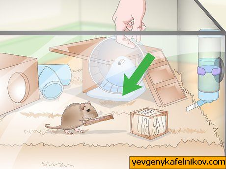 Obrázek s názvem Set up a Gerbil Cage Krok 15