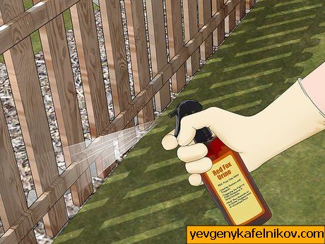 Obrázek s názvem Vyplňte díry veverky krok 7