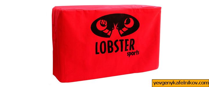 Det ljusröda Lobster Elite 2 förvaringsskyddet med svart Lobster-logotyp.