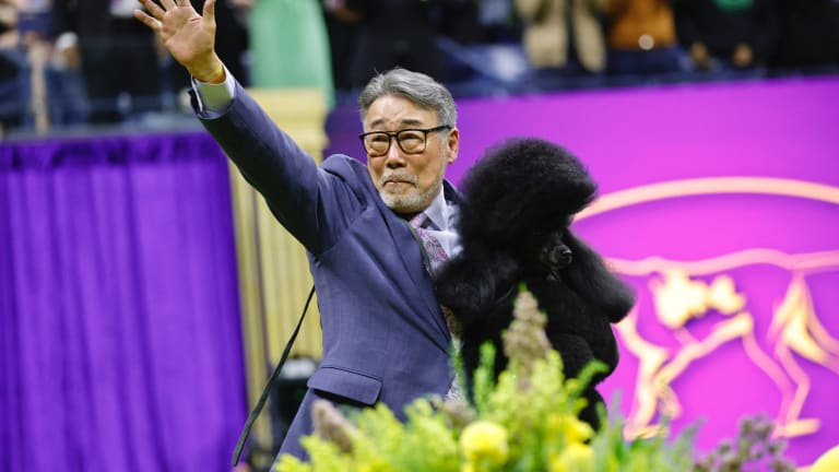 Sage skickade sin förare, 65-åriga Kaz Hosaka, i pension med segern.